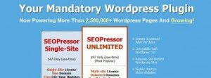 seopressor wp seo plugin e1285010249217 300x111 Wordpress Auto SEO Plugin