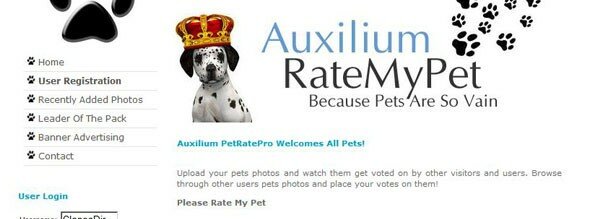 Pet Picture Rating Script
